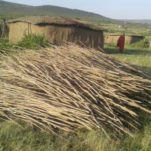 Ewangan manyatta construction